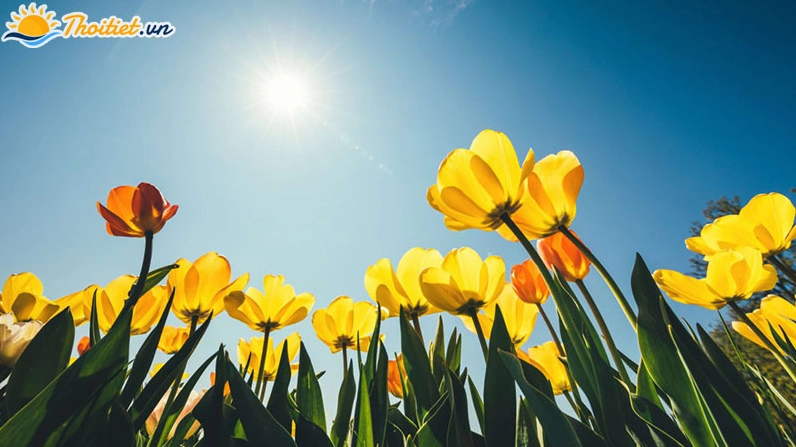 Thời tiết mùa xuân