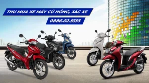 thu-mua-xe-may-cu-tphcm-2026-ban-nhanh-gia-cao-tan-noi_804