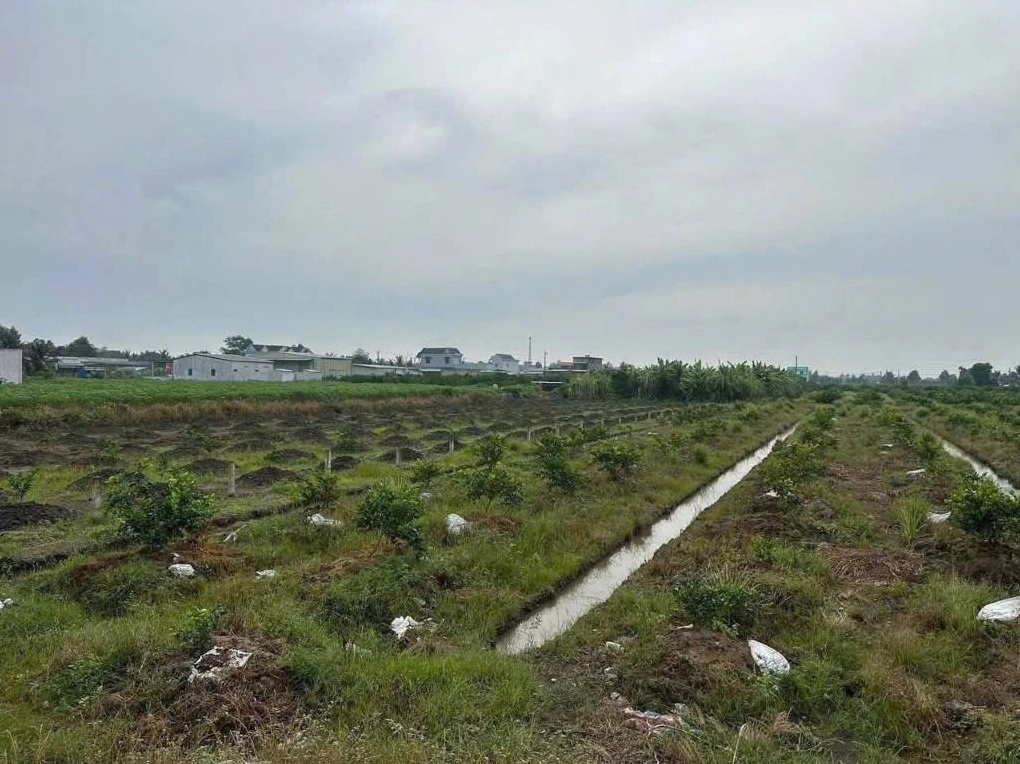 Thực tế đo đạc đất nông nghiệp để xác định 1 công đất là bao nhiêu m2