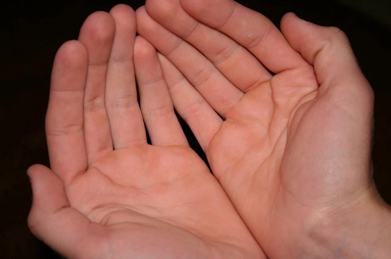 Thực tế, đường chỉ tay sinh mệnh và đường sinh đạo là một