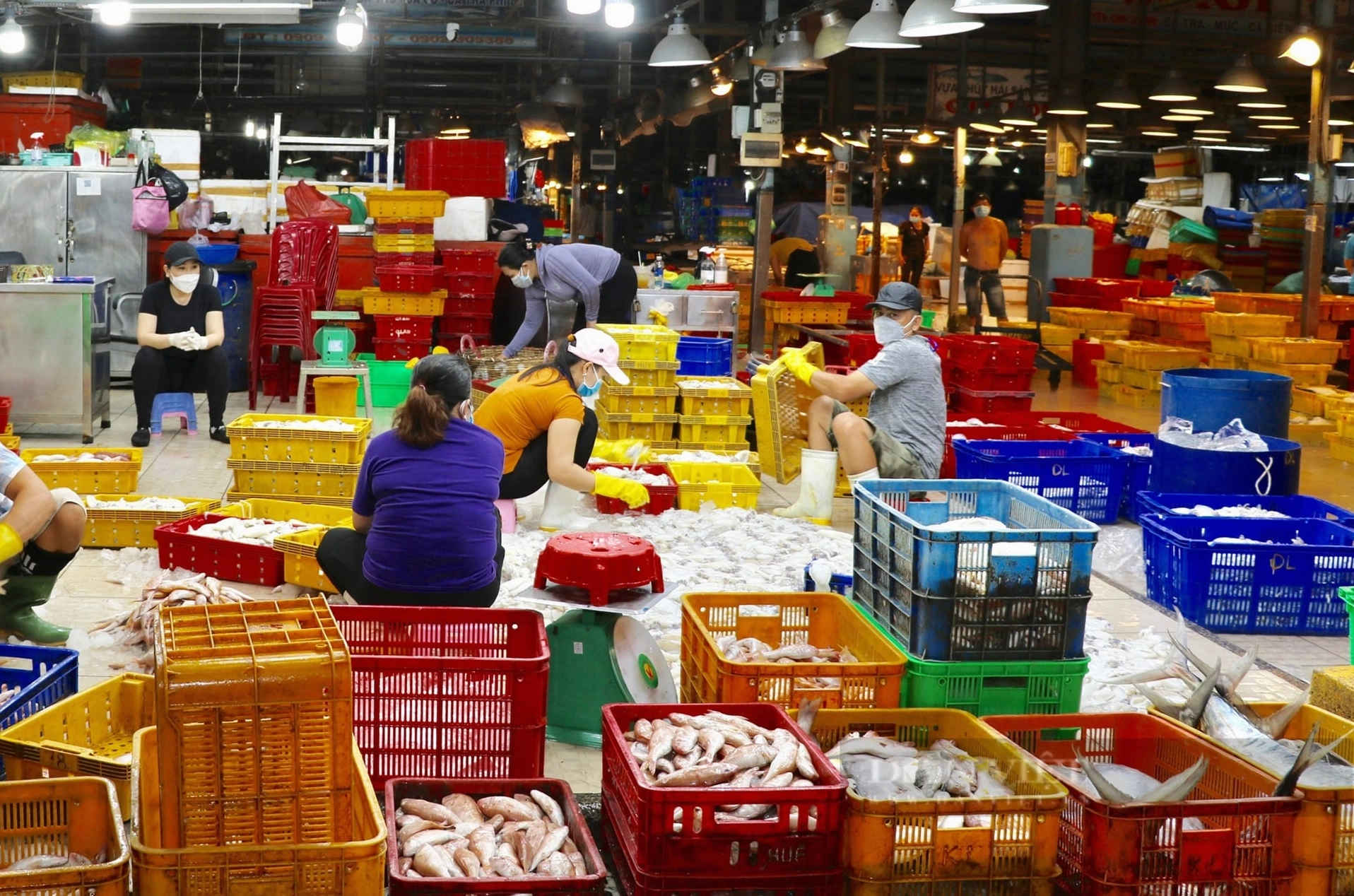 Toàn cảnh khu vực giao thương sầm uất tại chợ đầu mối Bình Điền