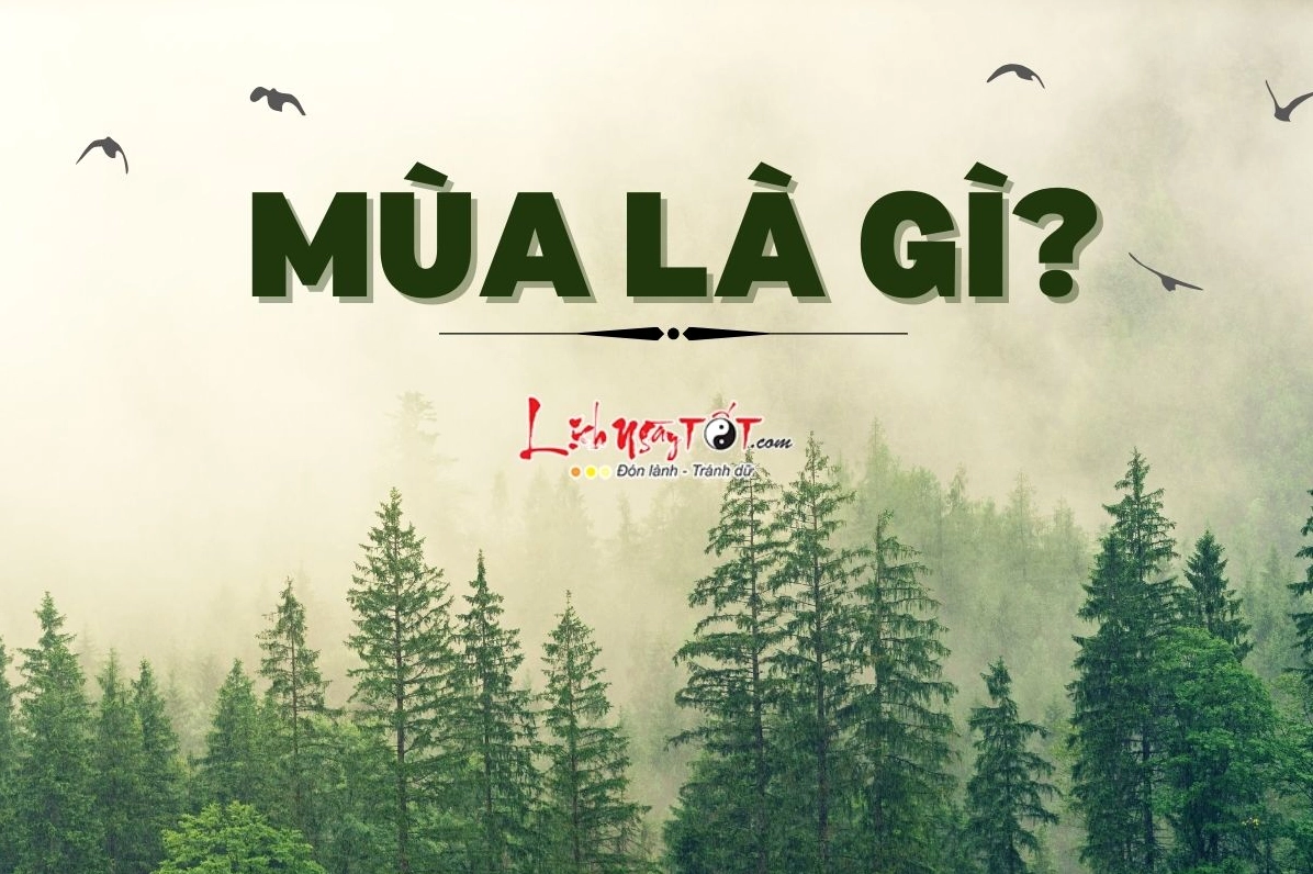 Tổng quan về Các Mùa Trong Năm