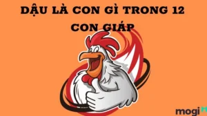 tuoi-dau-sinh-nam-bao-nhieu-giai-ma-tu-vi-phong-thuy-chi-tie_763