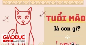 tuoi-mao-sinh-nam-bao-nhieu-kham-pha-tu-vi-va-van-menh-chi-t_605