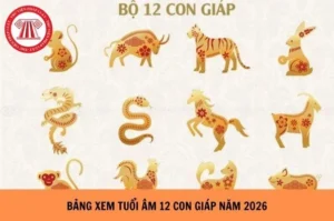 tuoi-thin-nam-nay-bao-nhieu-tuoi-cap-nhat-chi-tiet-nhat-nam-_278