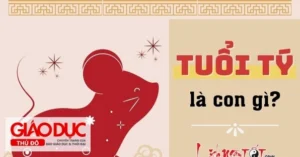 tuoi-ty-nam-nay-bao-nhieu-tuoi-giai-ma-chi-tiet-tu-vi-2026_307