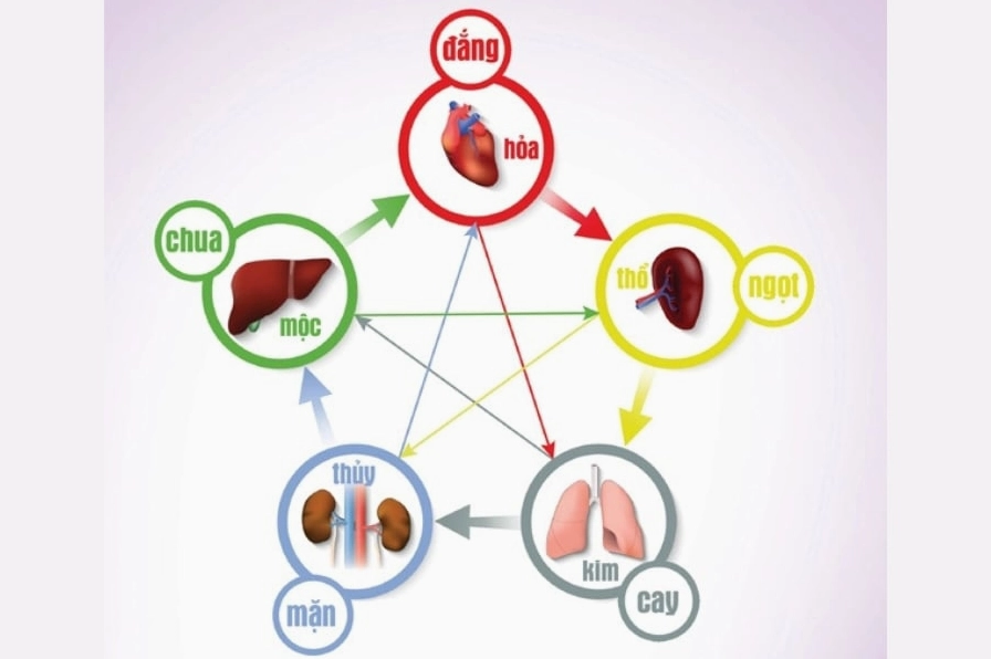 Ứng dụng phong thủy ngũ hành vào đời sống năm 2026
