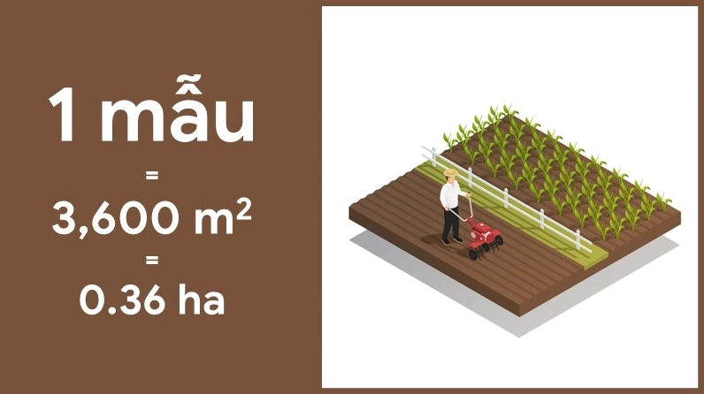 Ứng dụng thực tế trong bất động sản khi tính toán 1 mẫu bao nhiêu m2