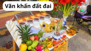 van-khan-cung-dat-dai-trong-nha-chuan-nhat-2026-va-cach-sam-_760