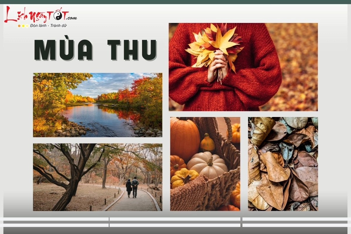 Vẻ đẹp lãng mạn của mùa thu trong các mùa trong năm