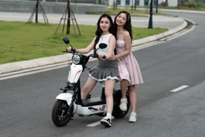 xe-dap-dien-gia-re-duoi-10-trieu-bi-kip-chon-mua-tot-nhat-20_632