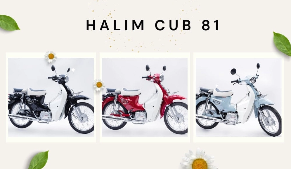 xe máy 50cc cho học sinh nữ Halim Cub 81
