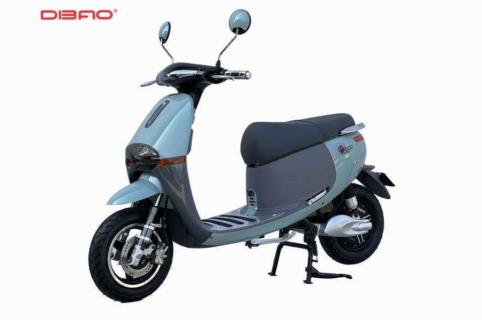 XE MÁY ĐIỆN DIBAO GOGO CROSS G