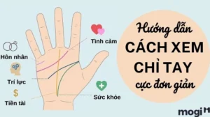 xem-boi-chi-tay-2026-giai-ma-van-menh-tuong-lai-ngay-tren-lo_110