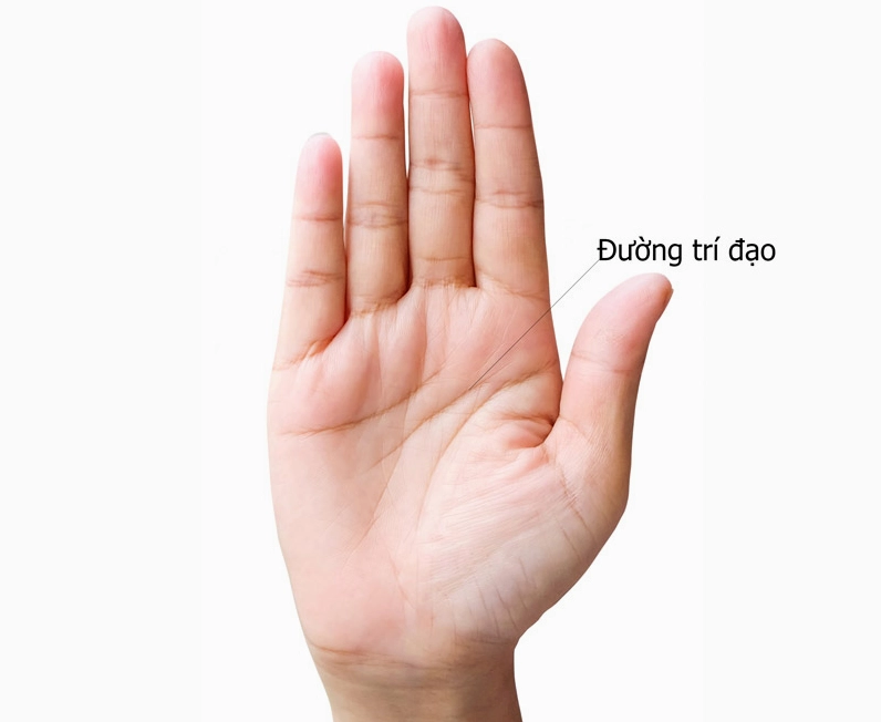 xem bói chỉ tay để hiểu về vận mệnh