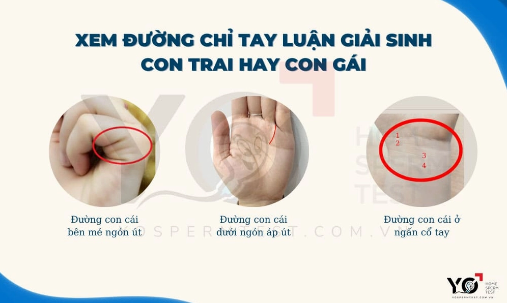 Xem đường con cái qua chỉ tay