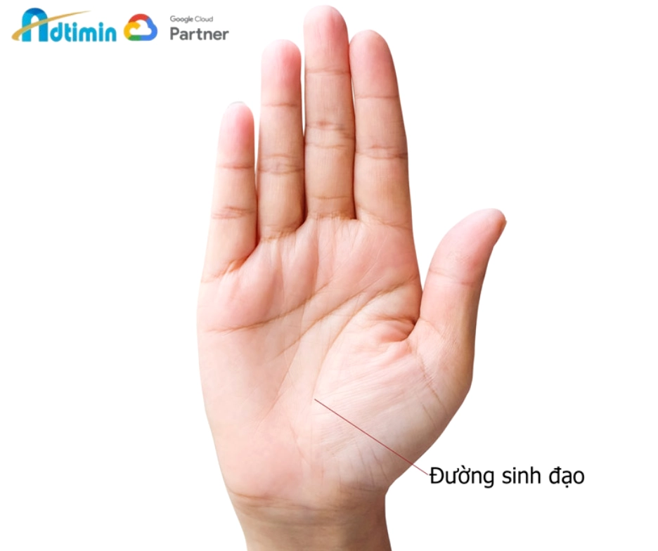 Xem đường sinh mệnh hay đường sinh đạo của nữ giới