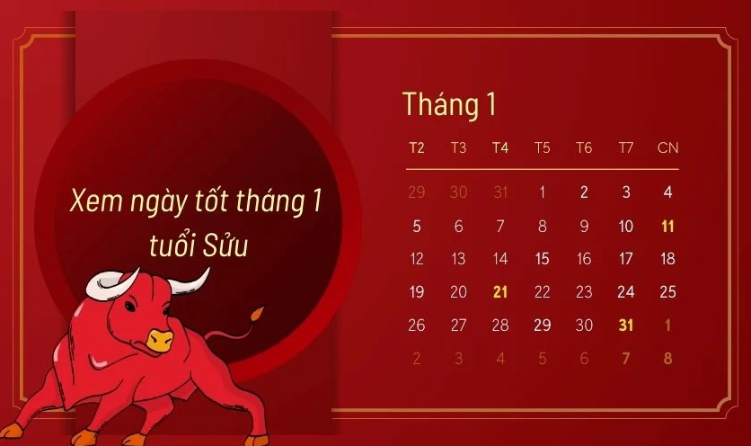 Xem ngày tốt tháng 1 năm 2026 tuổi Sửu