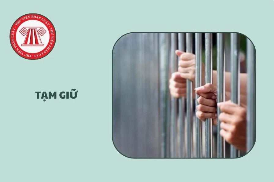 Xem tuổi Thìn năm nay bao nhiêu tuổi chuẩn xác để lên kế hoạch cuộc sống