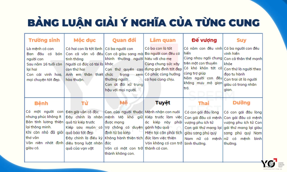 Ý nghĩa các cung theo vòng tràng sinh