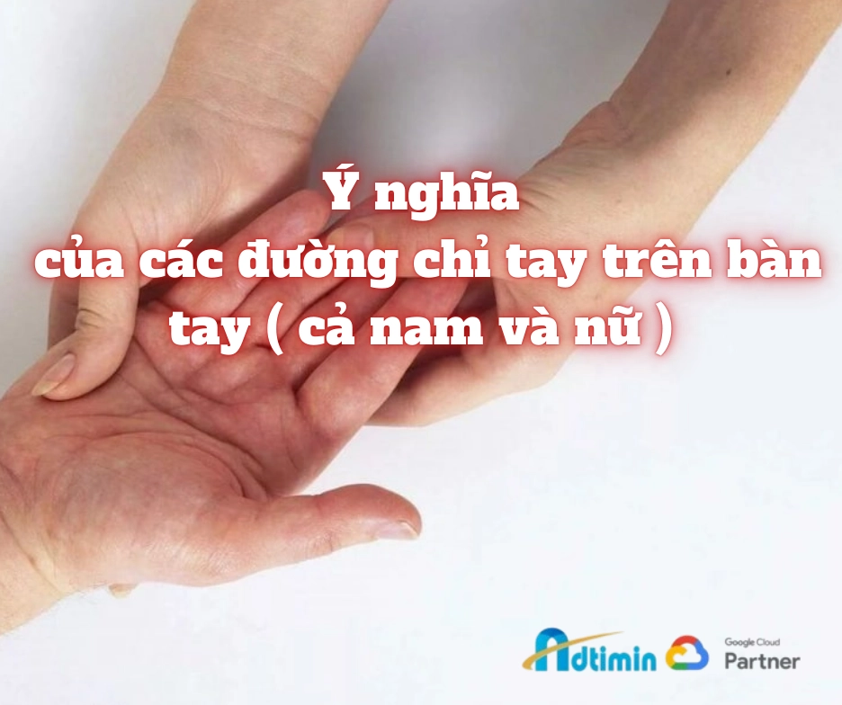 Ý nghĩa của các đường chỉ tay trên bàn tay ( cả nam và nữ )