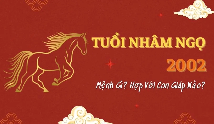 Ý nghĩa giấc mơ bị chó đuổi đối với tuổi Nhâm Ngọ 2002.